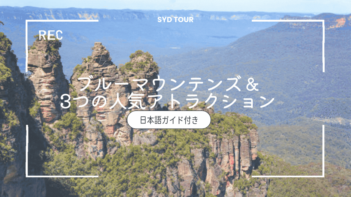 特別キャンペーン🎫 お得なチケット情報のコピーのコピー (4)