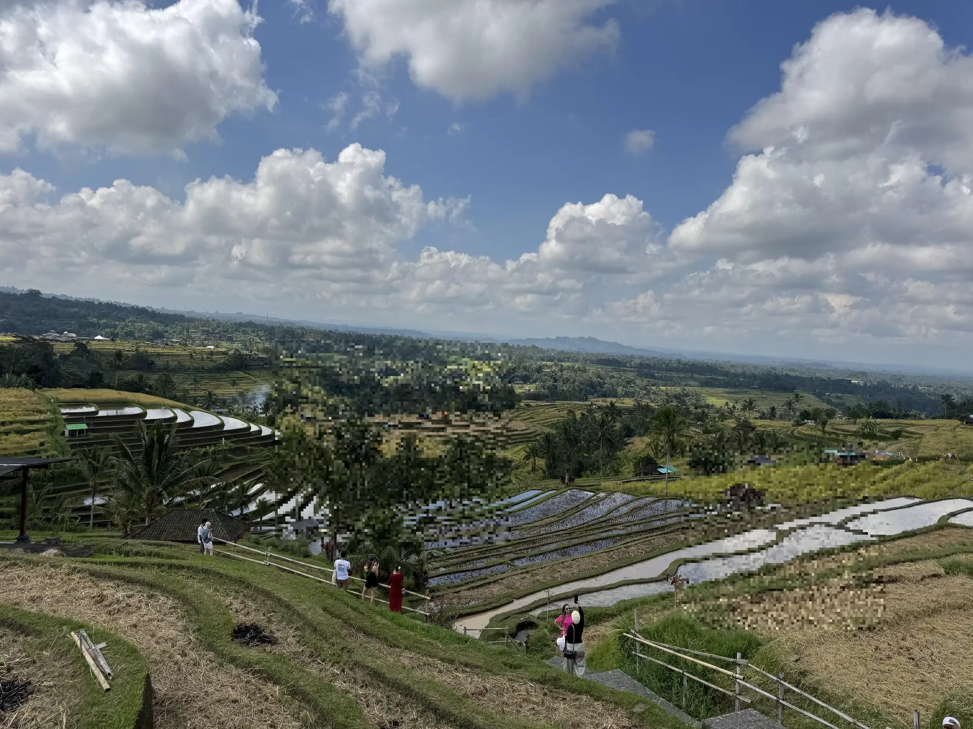 margarana-jatiluwih-tour-review