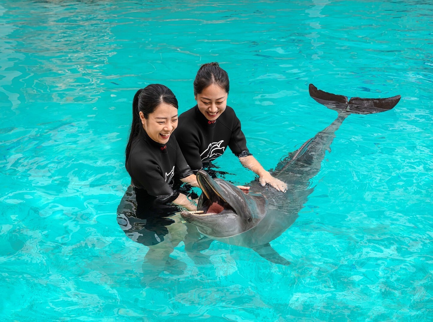 SEAA2431_DolphinVIPObserver_0185-1