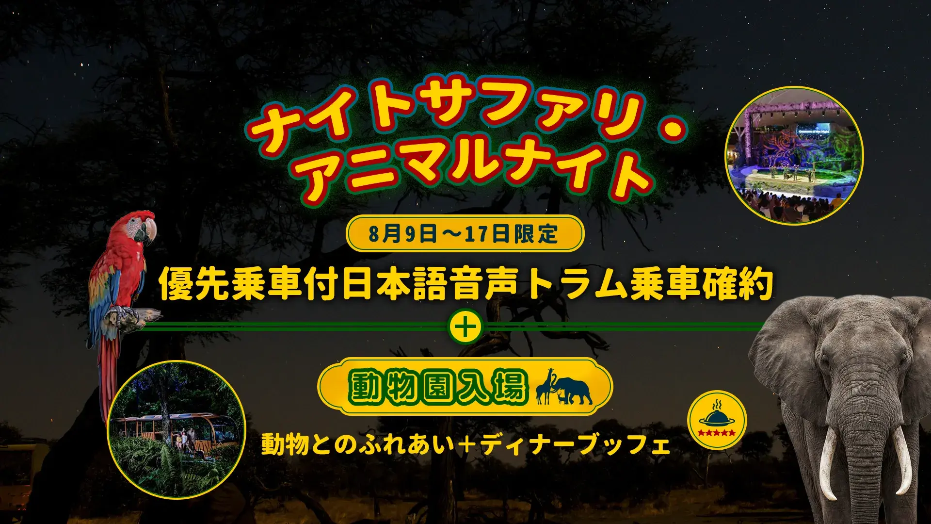 <8月9日~8月17日限定JTB特別企画>【ナイトサファリ・アニマルナイト】優先乗車付日本語音声トラム乗車確約+動物園入場(動物とのふれあいとディナーブッフェ)