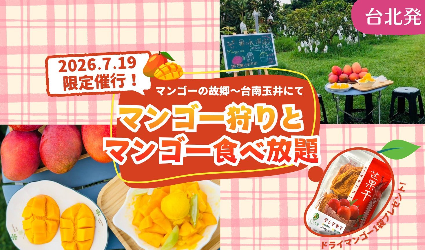 玉井マンゴー 台湾