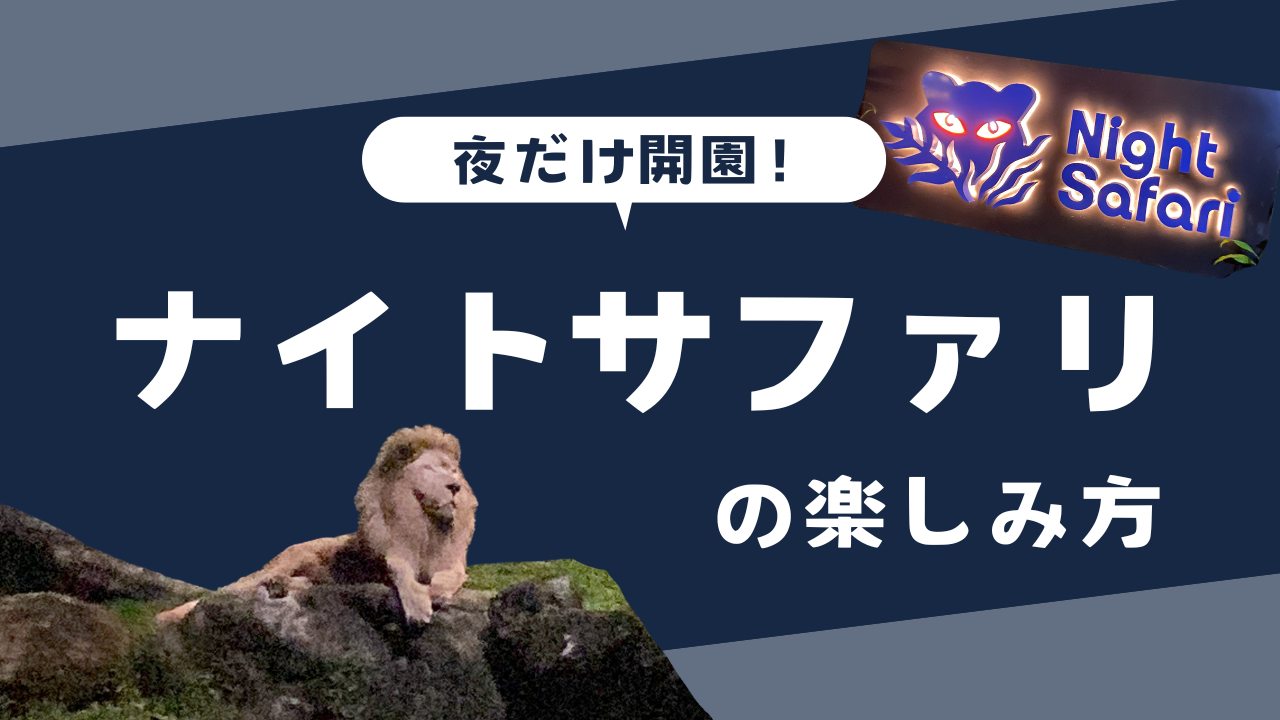 夜だけ開園！ナイトサファリの楽しみ方