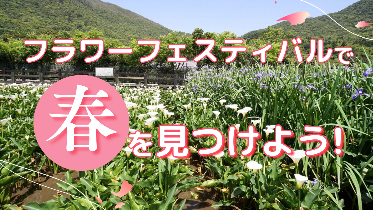 フラワーフェスティバルで春を見つけよう