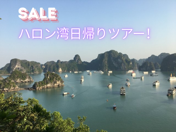 ハロン湾日帰りツア